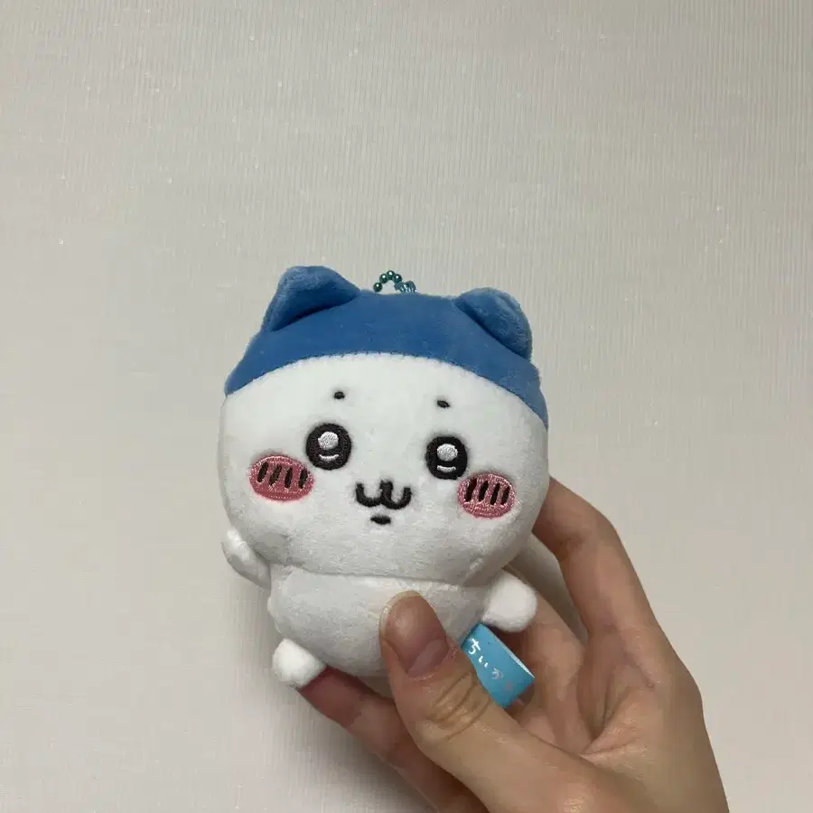 스포츠머리 하치와레 마스코트