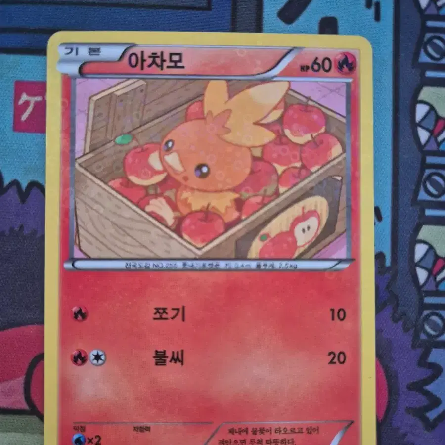 포켓몬 카드 아차모 005/020 C 샤이니컬렉션/샤컬 엘범용 1