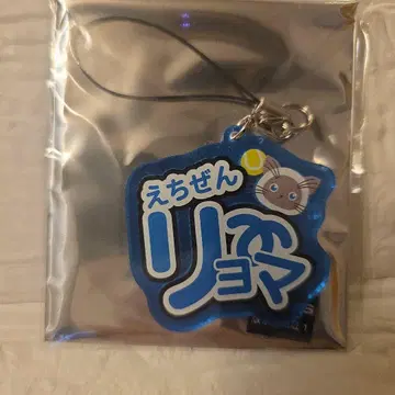 신 테니스의 왕자님 에치젠 료마 체인 컬렉션 액세서리