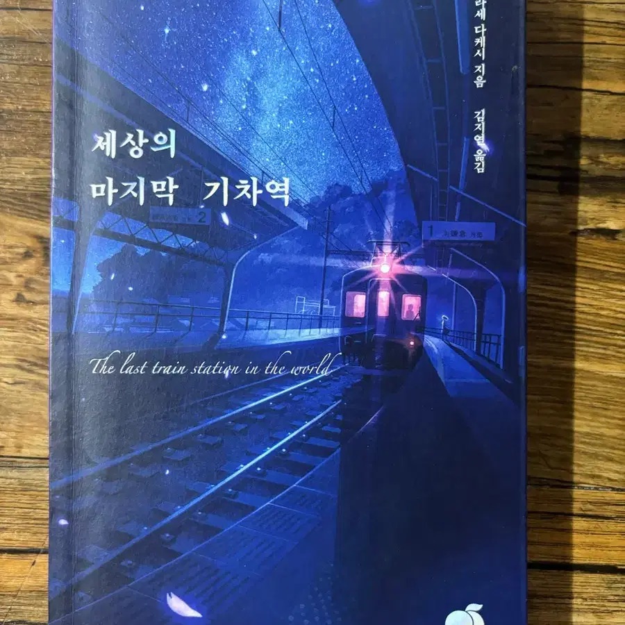 세상의 마지막 기차역 책