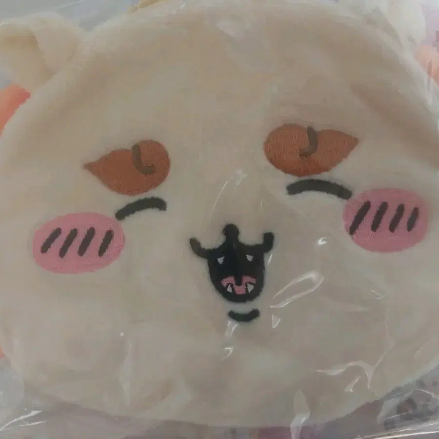 파우치 시사얼굴