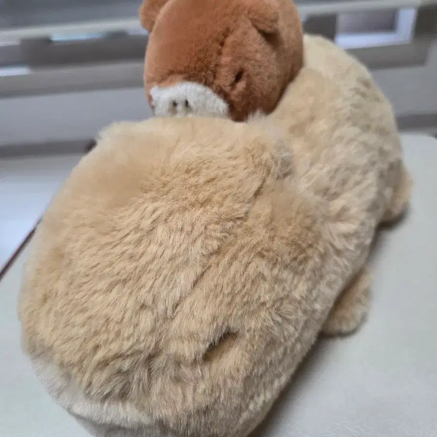 카피바라 인형 팝니다.