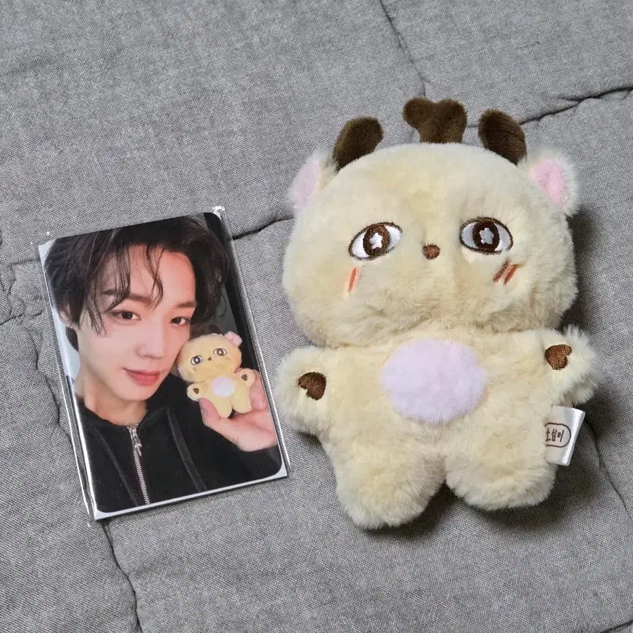 박지훈 인형 소심이 원가 양도해요