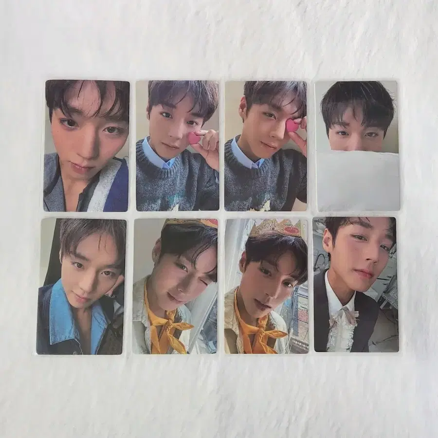 박지훈 시터 포카
