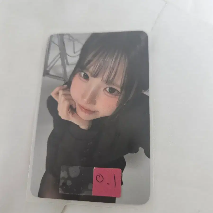 하영 포카