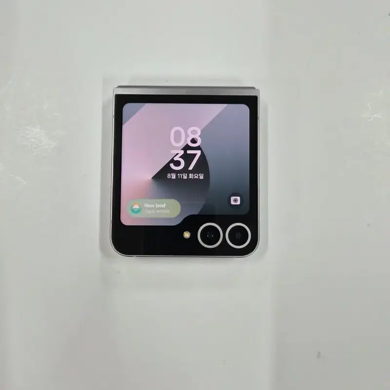 갤럭시 Z플립6 실버쉐도우(5543)