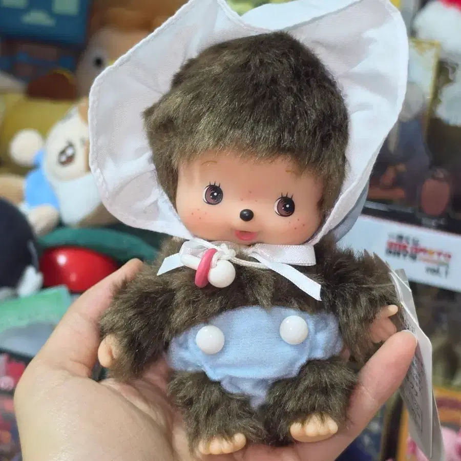 몬치치 베비치치 남아 판매