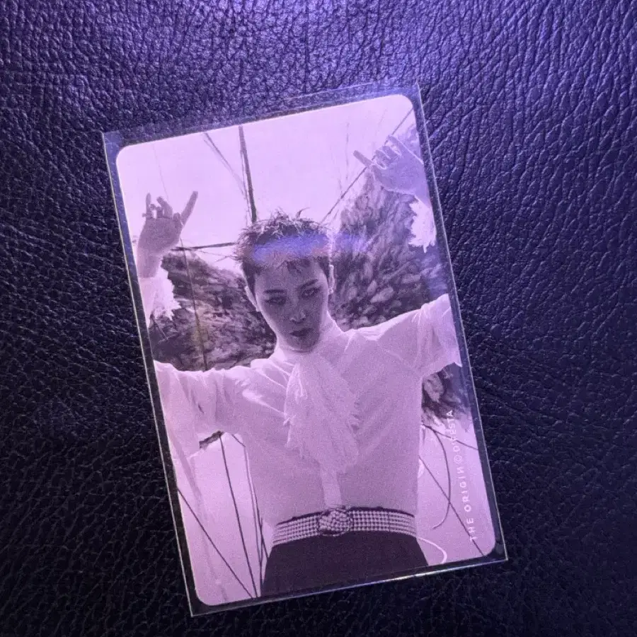 디페스타 오리진 Dfesta GD 지디 포카