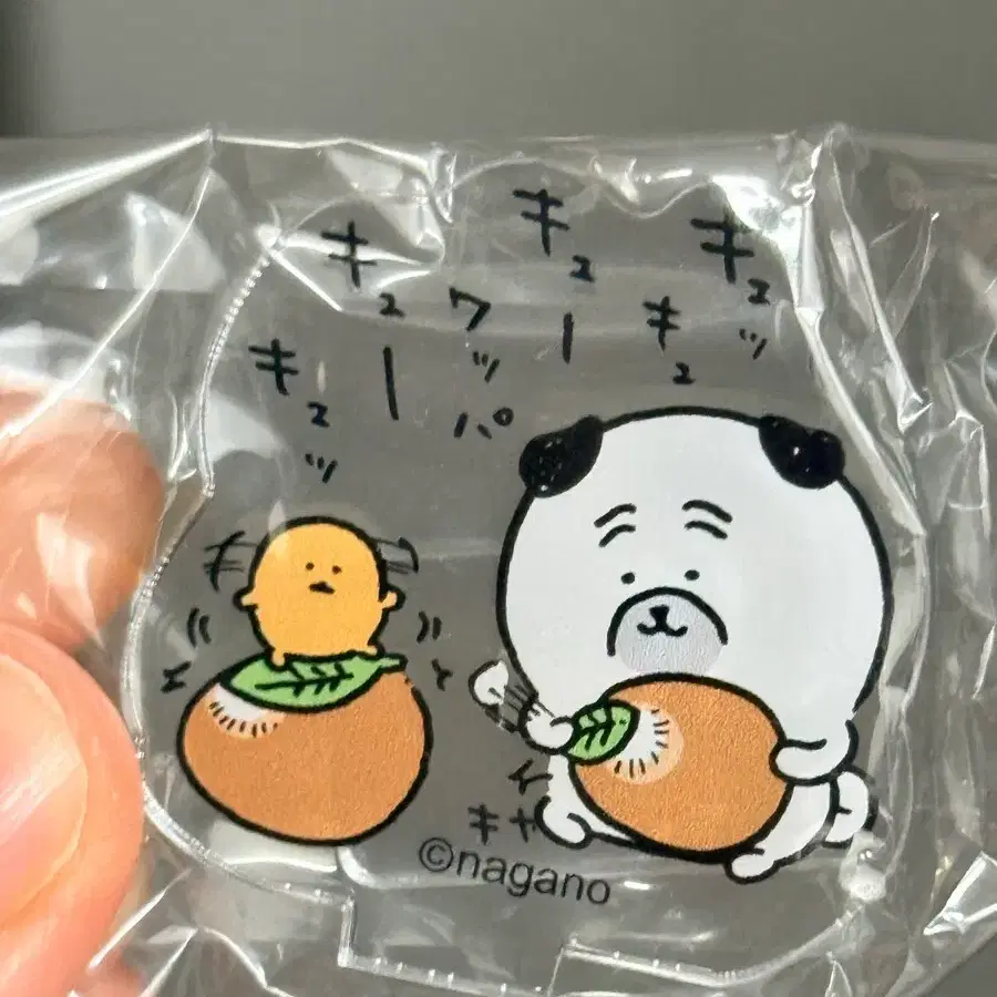 나가노 강아지 아크릴