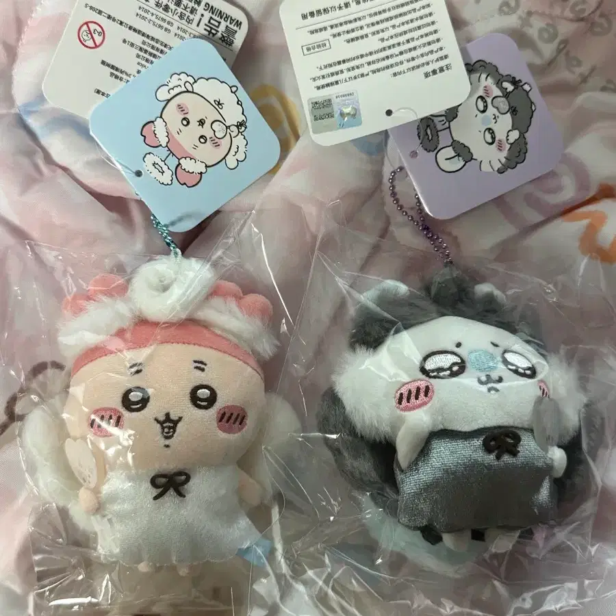 할로윈 천사 카니 모몽과 일괄
