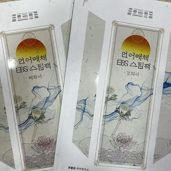 언어매체 이비에스 스팀팩 유대종