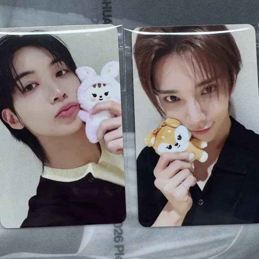 세븐틴 정한 조슈아 jxj 팝업 럭드 포카