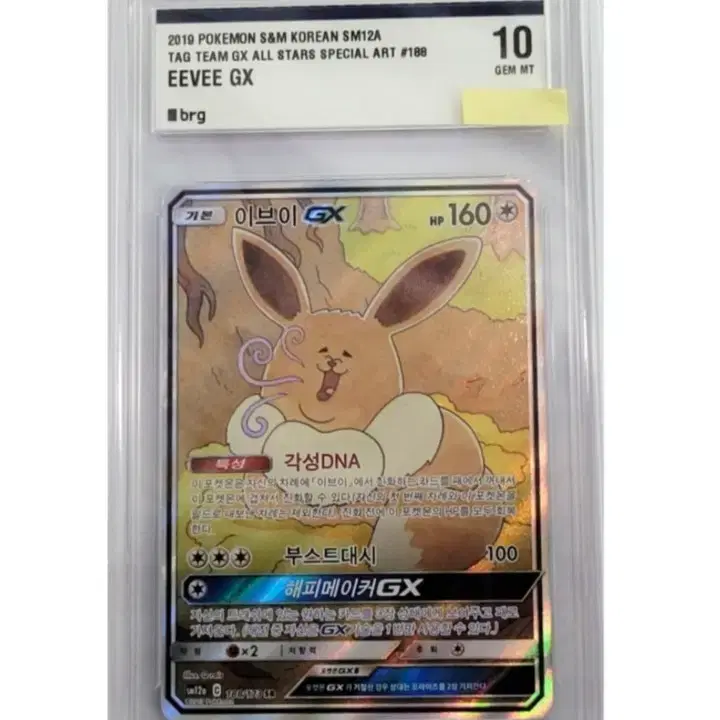 포켓몬카드 태그올스타즈 이브이 gx sr 특일 brg 10