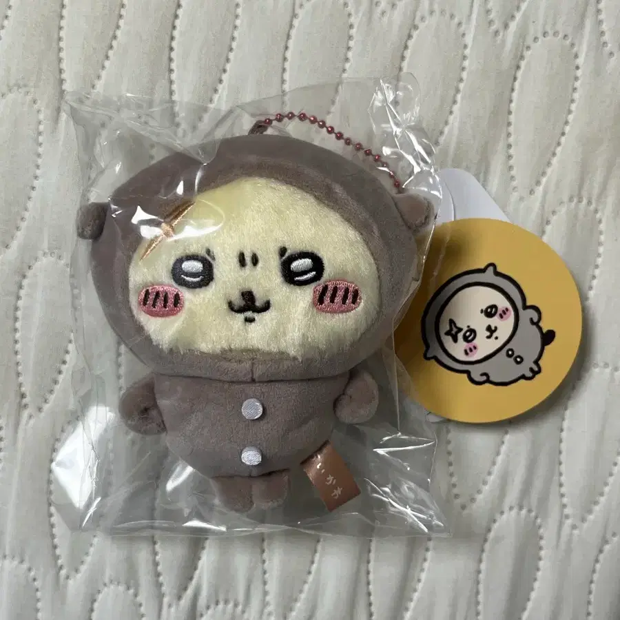 파자마 파티 랏코