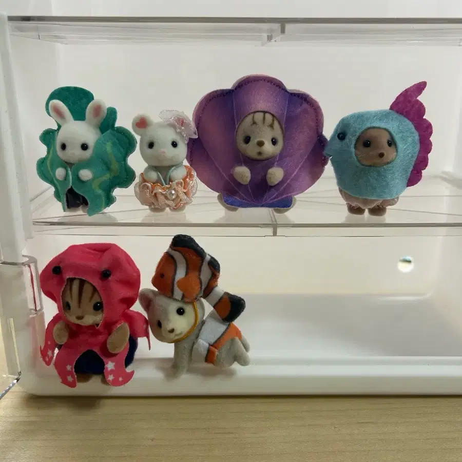 실바니안 유메이로 바다 블백 풀세트