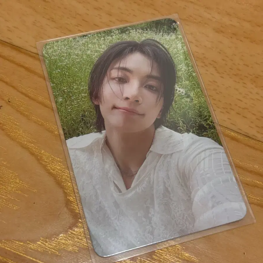 세븐틴 정한 포토카드