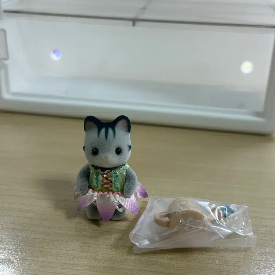 실바니안 꽃밭 블라인드백 고양이
