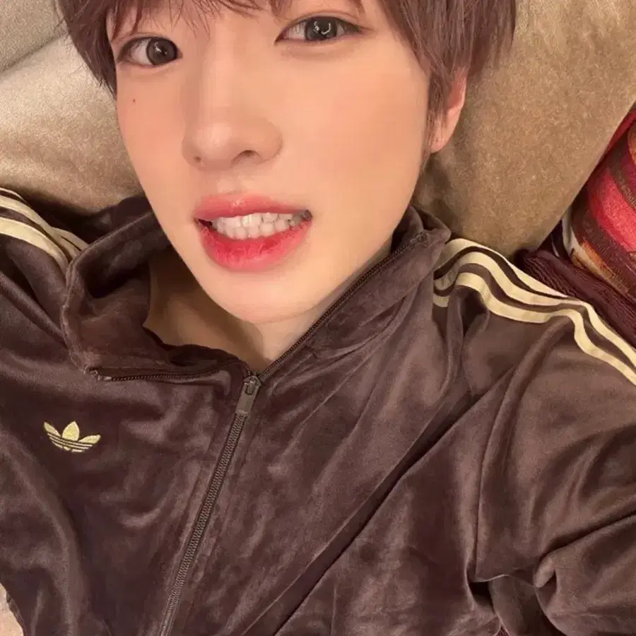 아디다스 파이어버드 벨루어 트랙탑 다크 브라운 M
