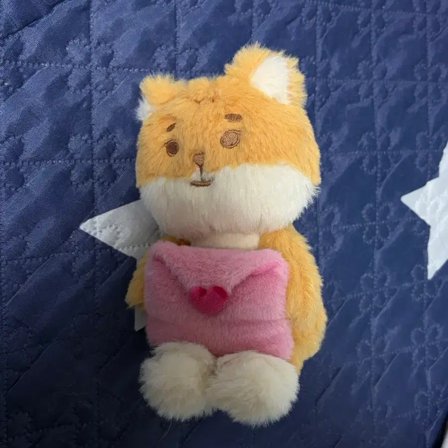 데이식스 데니멀즈 보이스키링 케