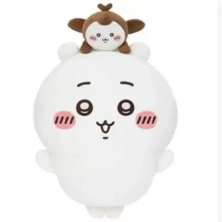 치이카와 투성이 쿠지 B상 풍뎅이