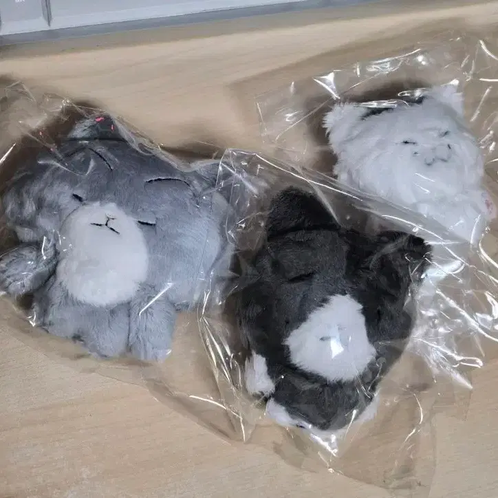 산왕공고 3인 정우성 이명헌 신현철 고양이즈 10깅 인형 3종세트