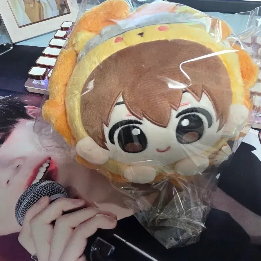 [ 짐정리 ] 가정교사히트맨리본 박스병기츠나인형