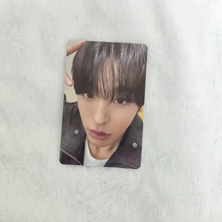 NCT WISH 위시니니 리쿠 포카 쿠리