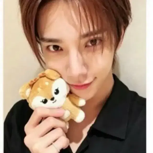 세븐틴 정한X조슈아 유닛 팝업 앨범 특전 조슈아 포토카드 판매합니다