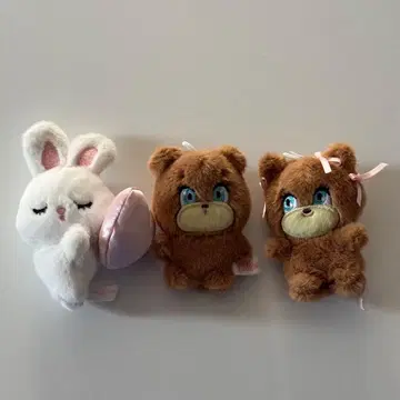 foxy 캡슐 토이