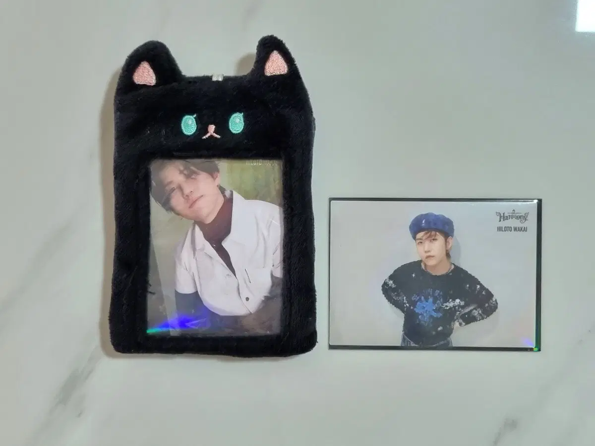 Mrs. Green Apple Utopia 7 Harmony 12 Wakai Hiroto poca photocard + Cat Toploader
