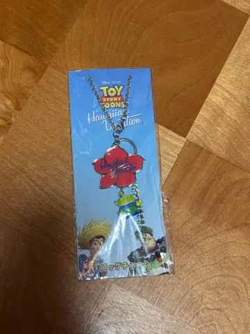 토이 스토리 하와이안 바케이션 백참