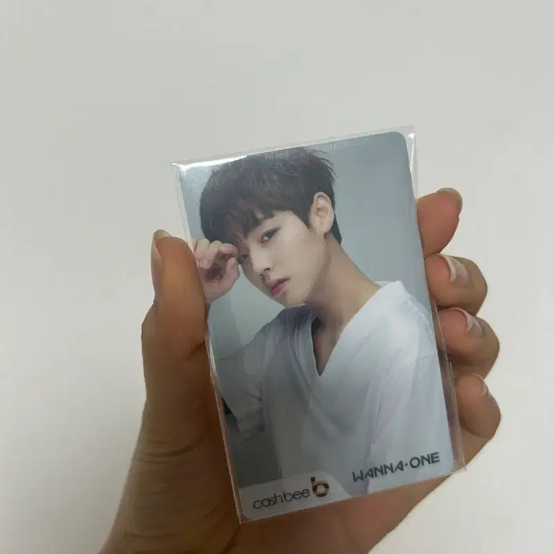 미개봉) 워너원 박지훈 교통카드 캐시비