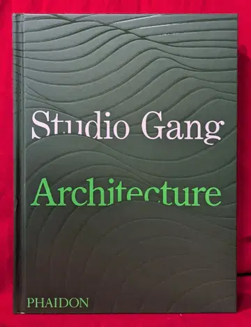 Jeanne Gang Studio Gang: Architecture