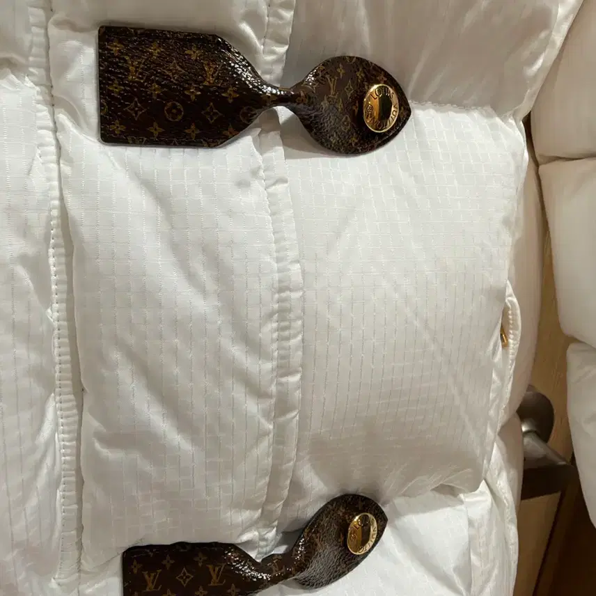 루이비통 패딩 사진 4