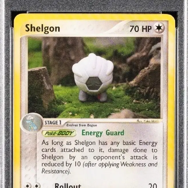 포켓몬 2003 Shelgon 41/97 북미 E 카드 PSA 9 포켓몬카드