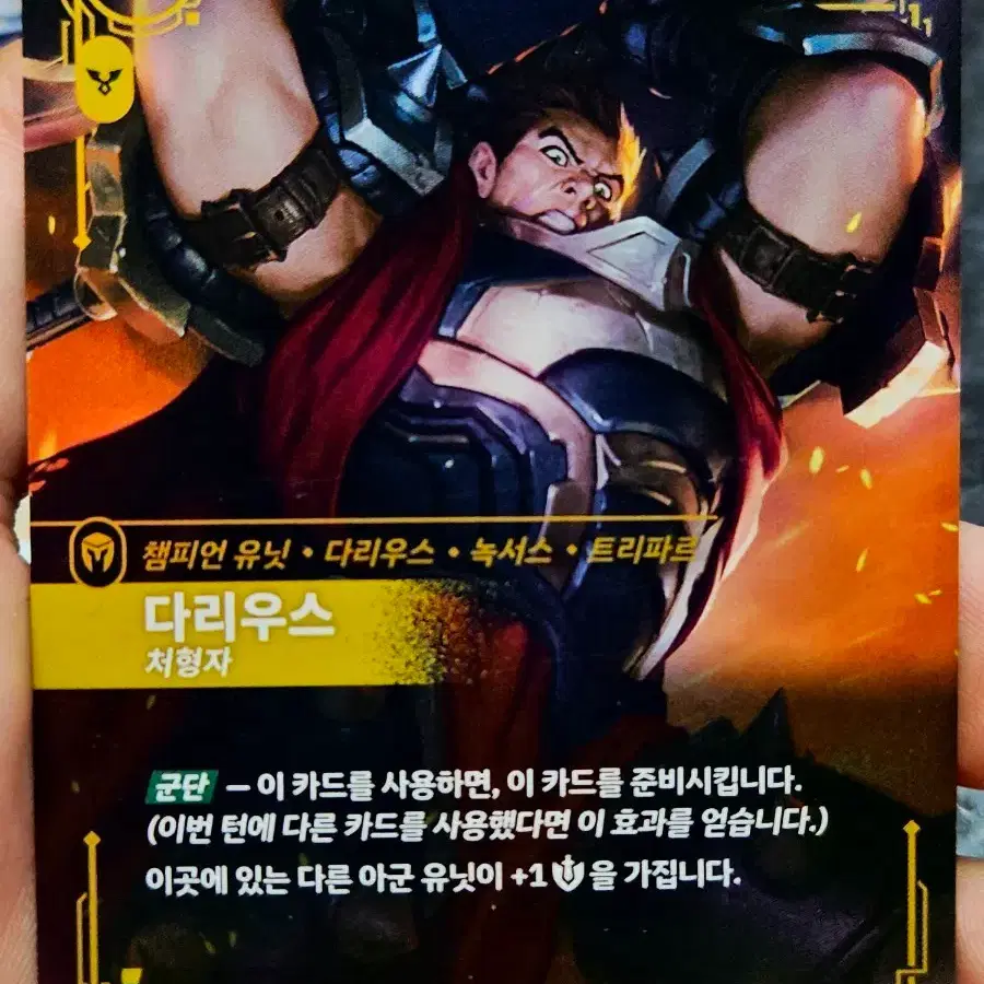 리프트바운드 다리우스 처형자