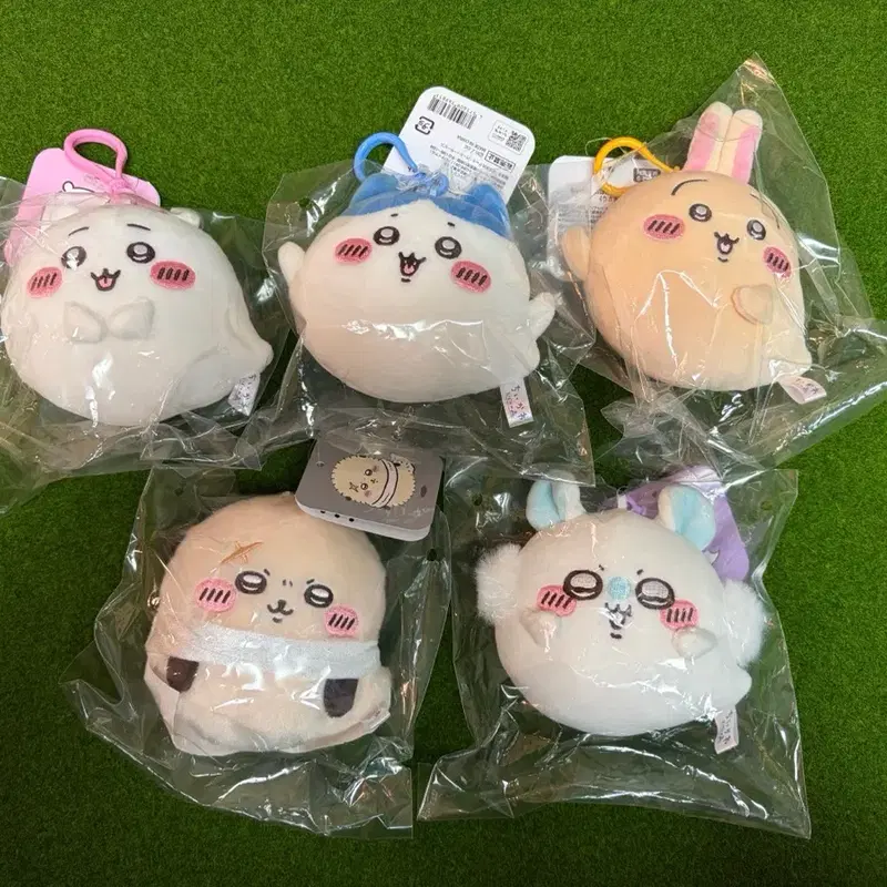 치이카와 오다이바 유령의숲 마스코트 하치와레 우사기 랏코 모몽가