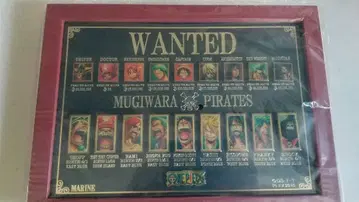 ONE PIECE 밀짚모자 일당 수배서 사진 프레임 핀 배지 컬렉션