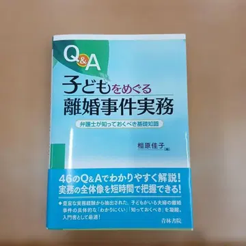 Q&A 아이를 둘러싼 이혼 사건 실무