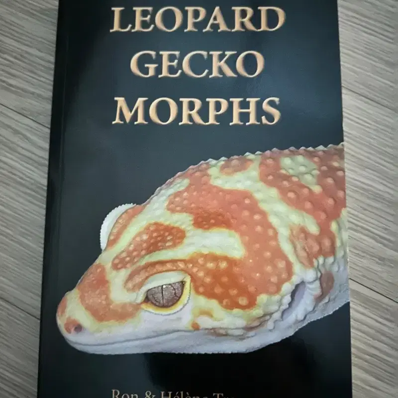 LEOPARD GECKO MORPHS 레오파드게코 모프책(사진많음)
