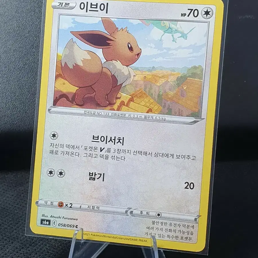 포켓몬 카드 이브이 기본