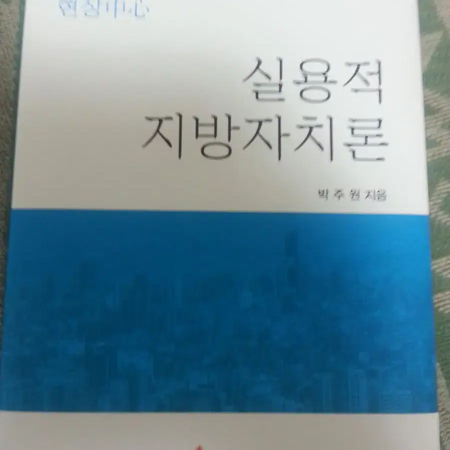 실용적지방자치론 [책]