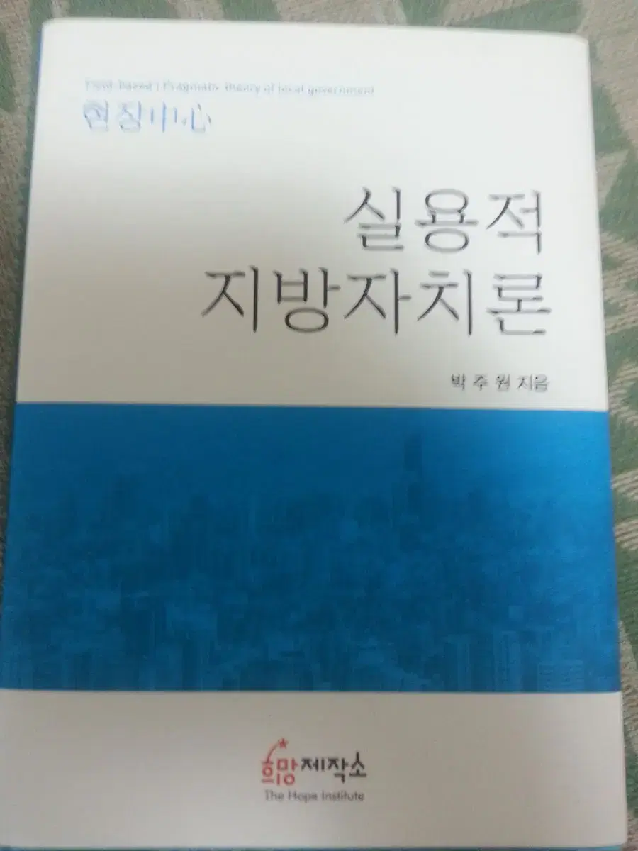 실용적지방자치론 [책]