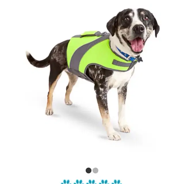 강아지 구명조끼(Petco dog floatation vest)