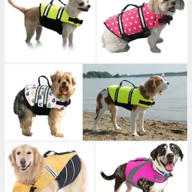 강아지 구명조끼(Petco dog floatation vest)