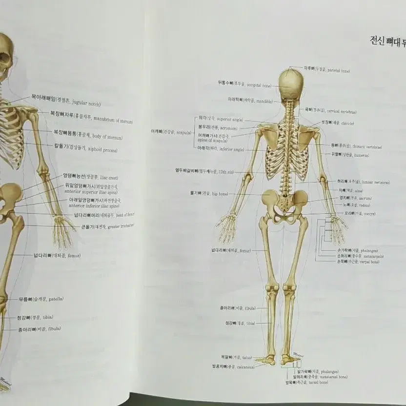 의학용어사전