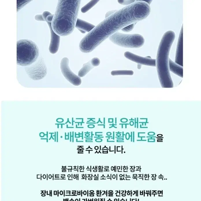 프리미엄 유산균 2000mg 30포 스틱