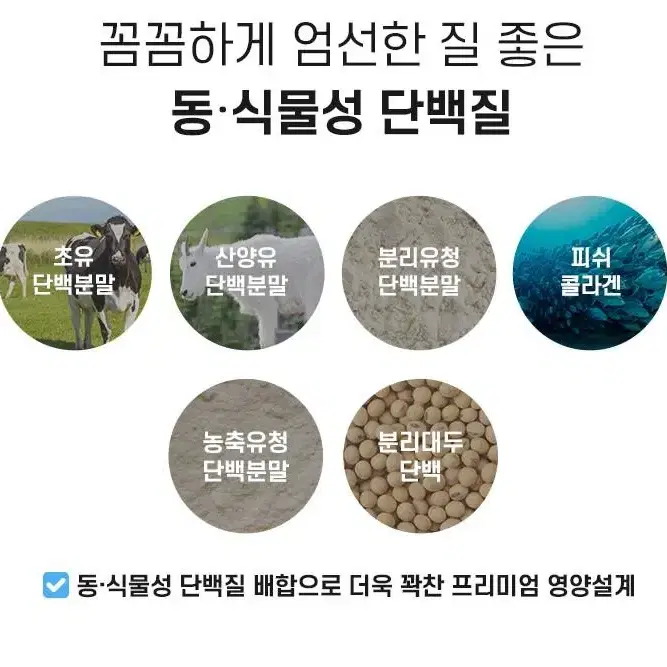 산양유 콜라겐단백질 100포스틱