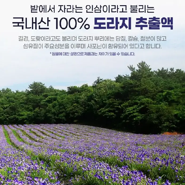 (A)꿀배+도라지 30포 100포스틱