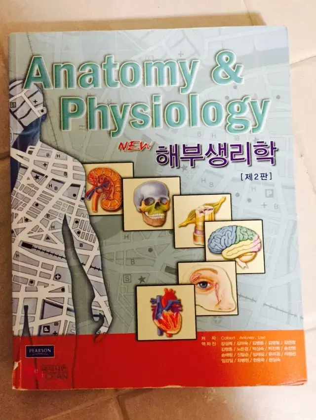 anatomy and physiology